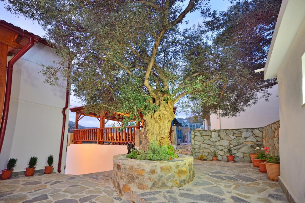 Plokamos House Plokamiana